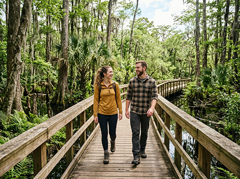 Barataria Preserve Trail